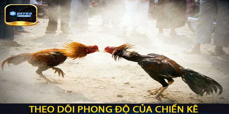 Theo dõi phong độ của chiến kê
