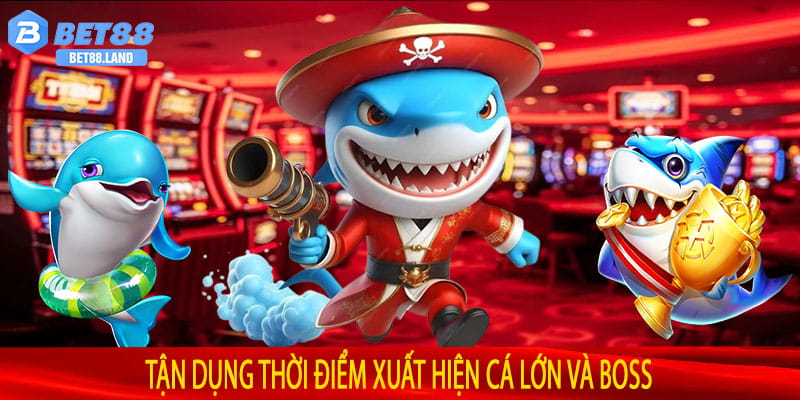 Tận Dụng Thời Điểm Xuất Hiện Cá Lớn Và Boss